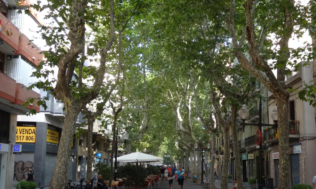 Poblenou Boulevard (Rambla del Poblenou)